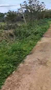 Đất nền xã Bình Minh, Bù Đăng 13.500m² giá 1.6 tỷ - Sổ hồng chính chủ!