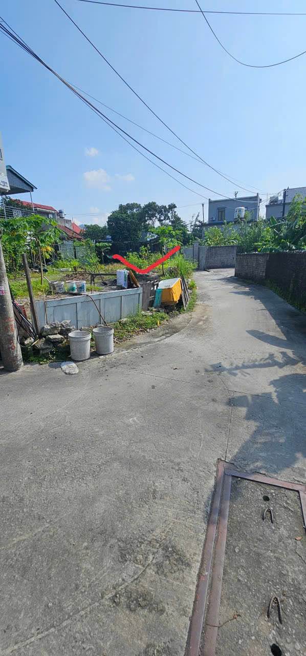 Đất nền Cẩm Phú 65m² giá chỉ 450 triệu - Đầu tư sinh lời nhanh!