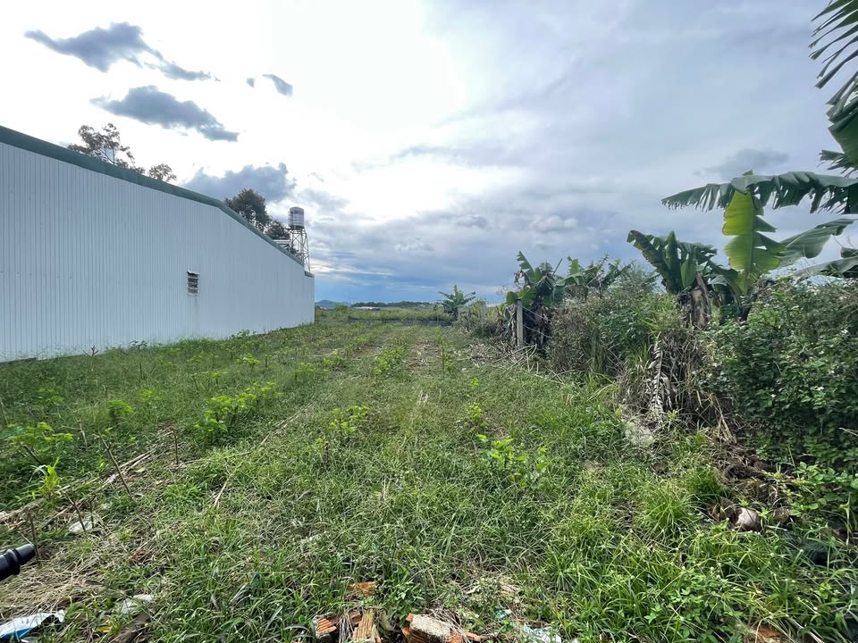 Đất hẻm Nguyễn Trãi, Bảo Lộc 120m² giá 1.5 tỷ - Chính chủ bán gấp!