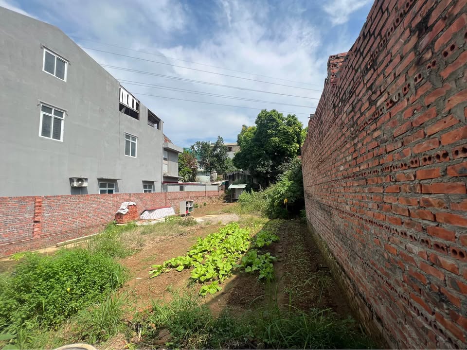 Đất nền khu Đoàn Kết, phường Tiên Cát 101m² giá 1.75 tỷ - Vị trí đắc địa ngay trung tâm!