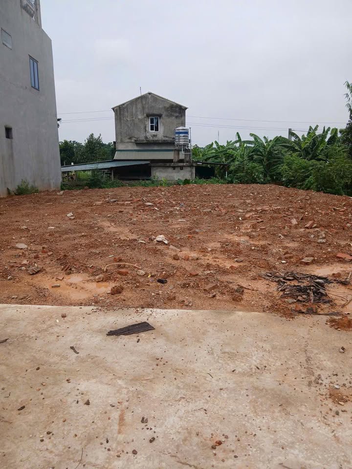 Đất thổ cư Sông Lô, Việt Trì 135m² giá 2.565 tỷ - Đầu tư sinh lời ngay!