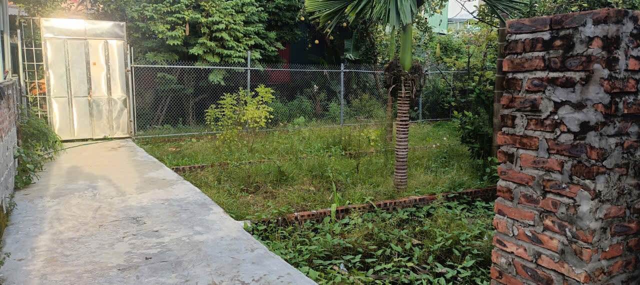 Đất Ninh Sở, Thường Tín 40m² giá 2.4 tỷ - Pháp lý sổ đỏ chính chủ!