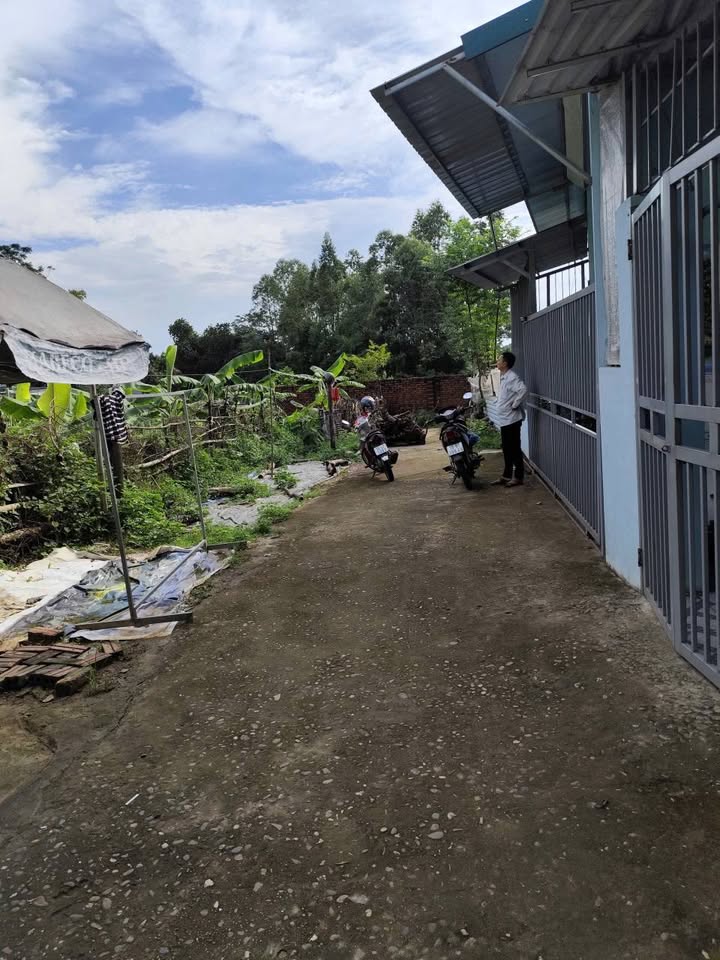 Đất thổ cư Nông Trang, Việt Trì 100m² giá 800 triệu - Cơ hội đầu tư tuyệt vời!