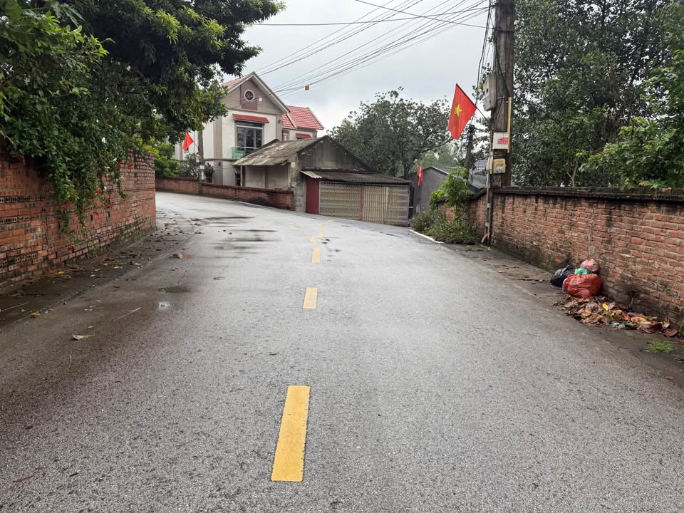 Đất thổ cư Thanh Đình, Việt Trì 120m² giá chỉ 1.65 tỷ - Cơ hội vàng cho nhà đầu tư!