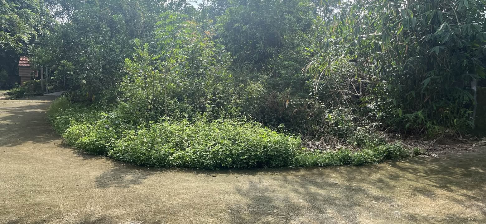 Đất nền Kim Đức, TP Việt Trì 212m² giá 1 tỷ - Vị trí đẹp, đầu tư tiềm năng