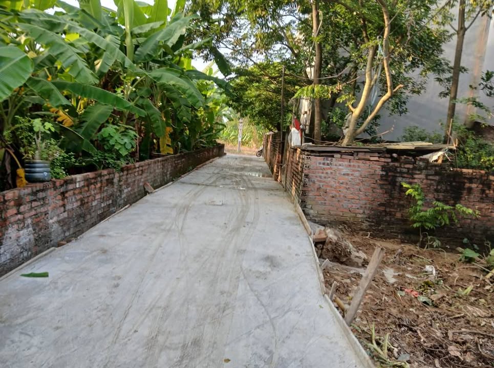 Đất nền Sông Lô, Việt Trì 164,5m² giá 1,5 tỷ - Giao thông thuận tiện, ô tô đỗ cửa!