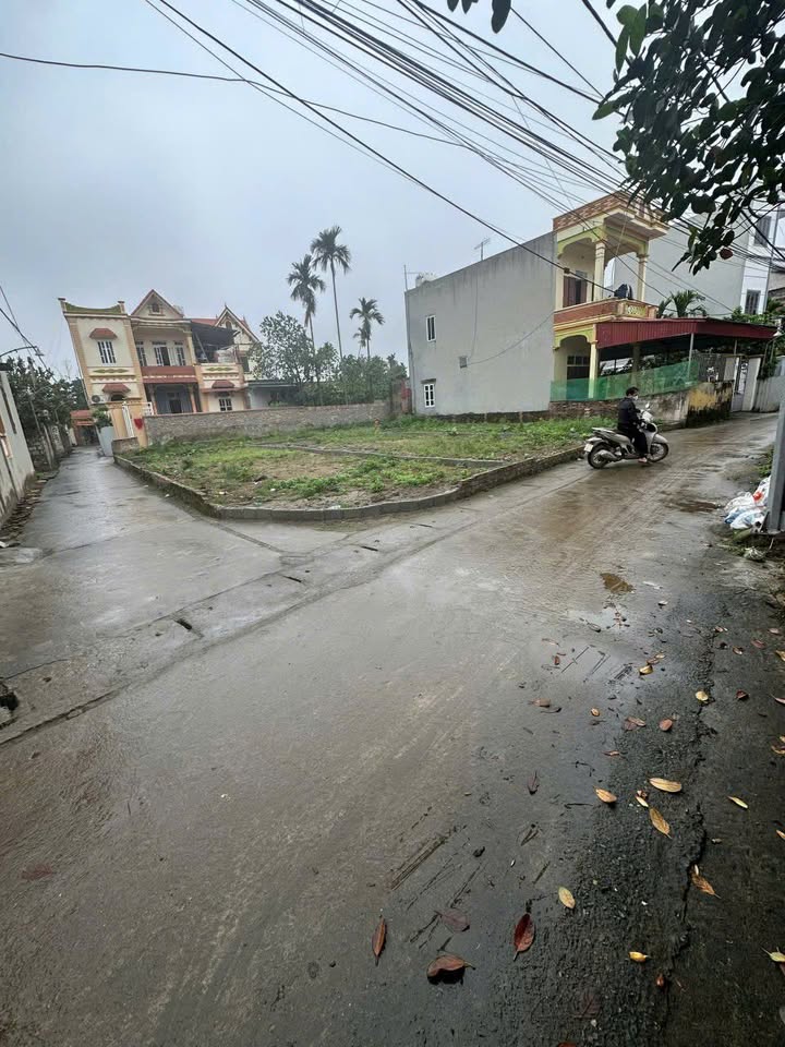 Đất kinh doanh Bạch Hạ 84m² giá thỏa thuận - Vị trí đắc địa, tiềm năng sinh lời!