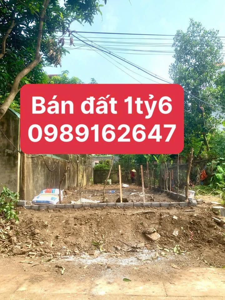 Đất nền đường Nguyễn Cảnh Chân, Ba Đình 100m² giá 1.6 tỷ - Pháp lý rõ ràng, đầu tư sinh lời!