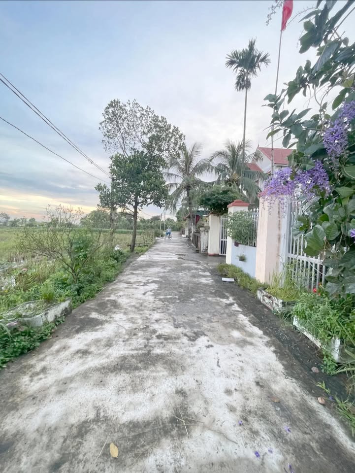 Đất nền An Nghiệp, Thanh Miện 127m² giá 650 triệu - Cơ hội đầu tư tuyệt vời!