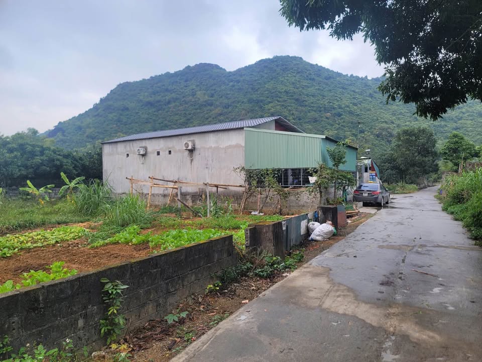 Đất nền Thanh Nghị, Thanh Liêm 102m² chỉ 680 triệu - Cơ hội đầu tư hấp dẫn!