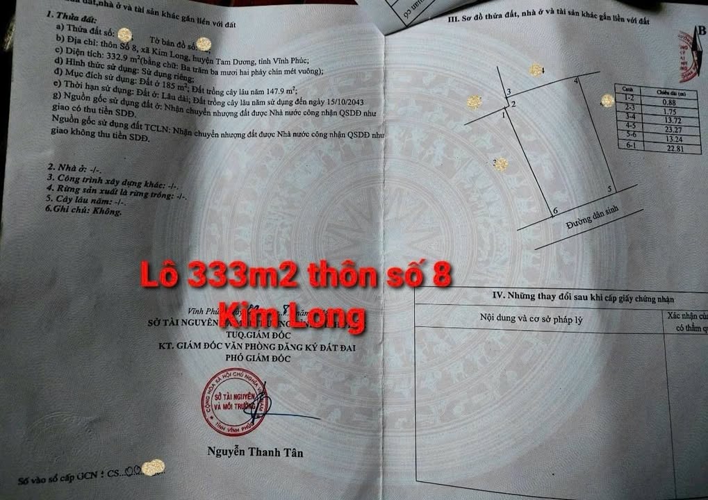 Đất đẹp giá rẻ tại thôn 8, Kim Long, Tam Dương 448m² - Đầu tư sinh lời ngay!