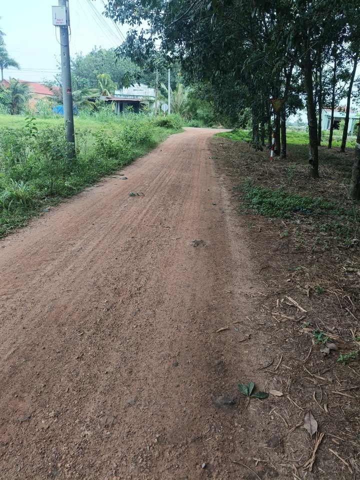 Đất nền Tân Phú Tây Ninh 1500m² giá 82.5 tỷ - Đường mặt tiền, đầu tư sinh lời!