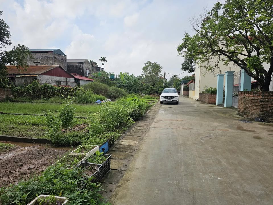 Đất nền Vũ Xá Kim Động 67m² giá 1.3 tỷ - Vị trí đắc địa gần cao tốc