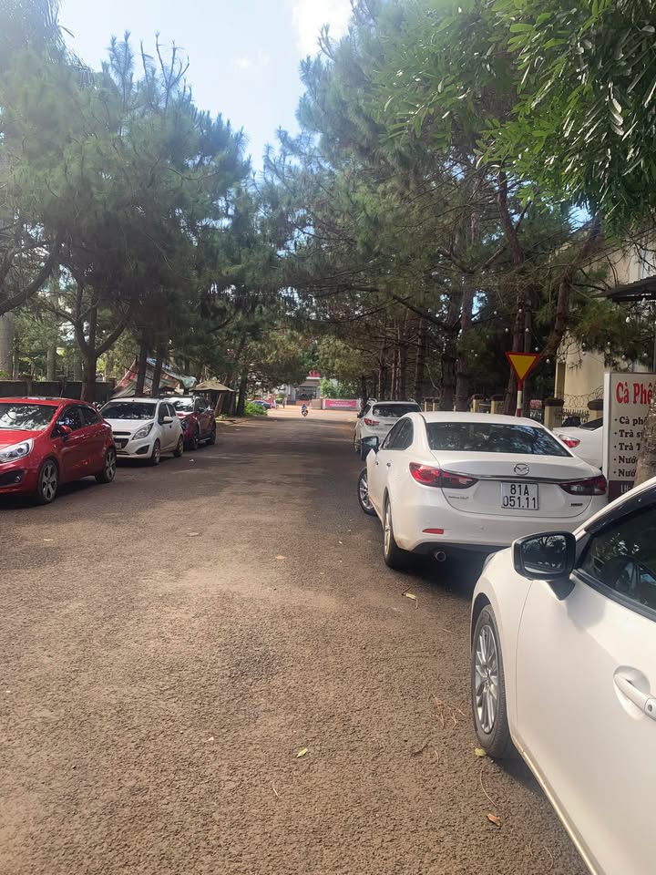 Đất nền mặt đường Trần Quý Cáp, Đăk Đoa 120m² - Đầu tư sinh lời tuyệt vời!