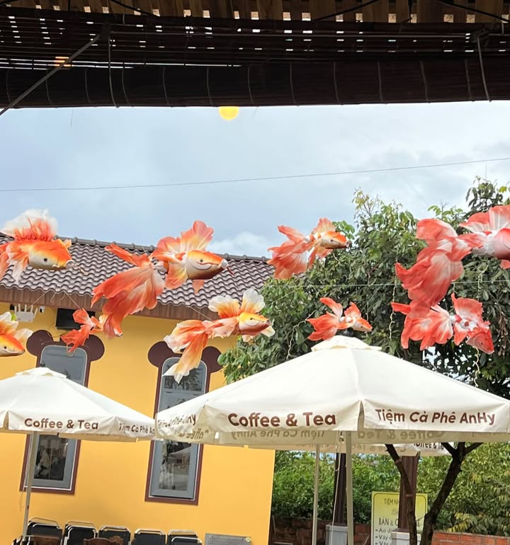 Đất nền Glar Đak Đoa 250m² chỉ 400 triệu - Cơ hội đầu tư tuyệt vời!