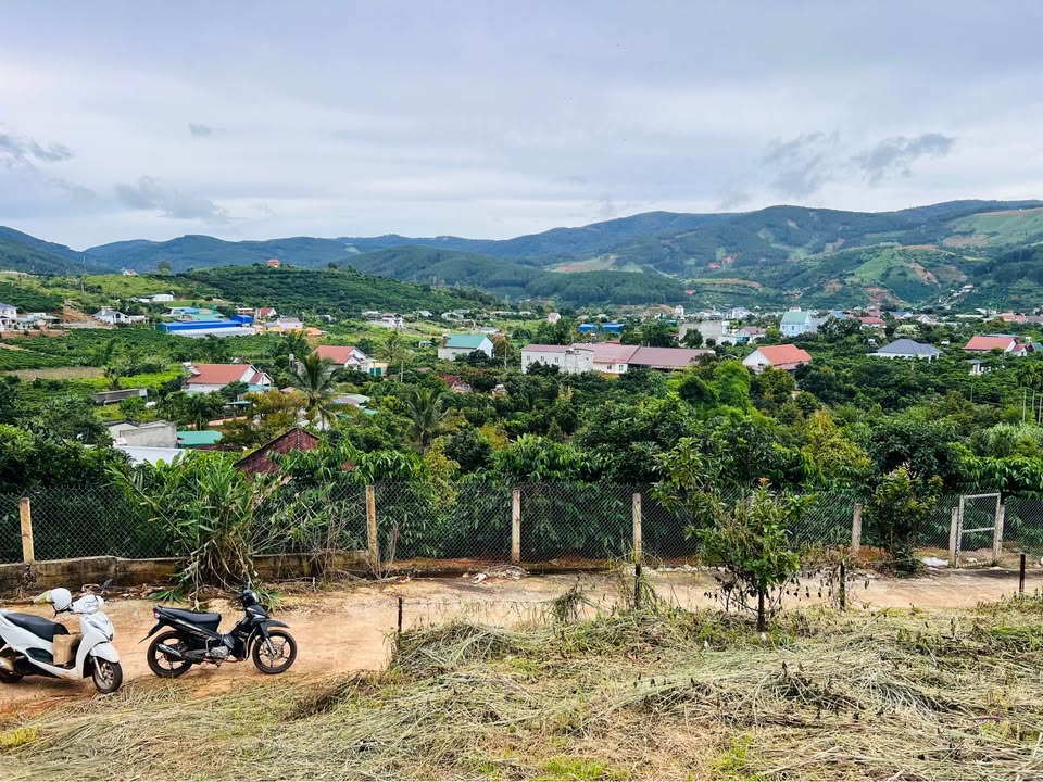 Đất nền Cam Ly Đà Lạt 1.036m² giá 3.5 tỷ - Vị trí nghỉ dưỡng lý tưởng!