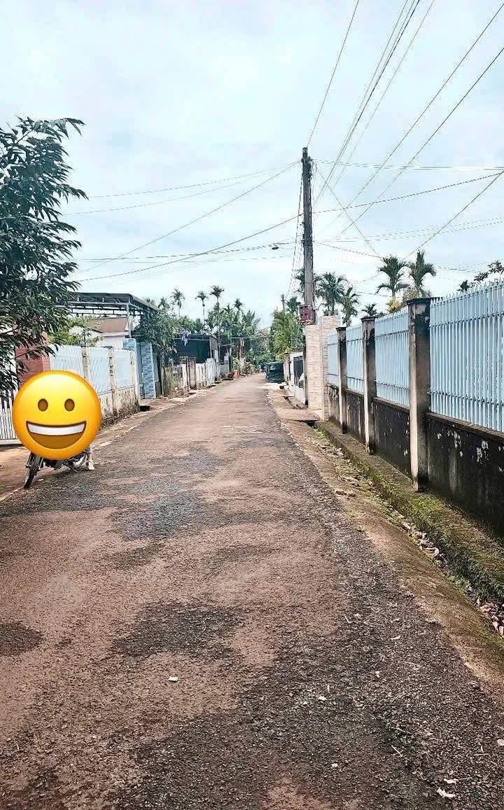 Đất nền Tân Lập Buôn Ma Thuột 125m² giá 1.25 tỷ - Cơ hội đầu tư tuyệt vời!