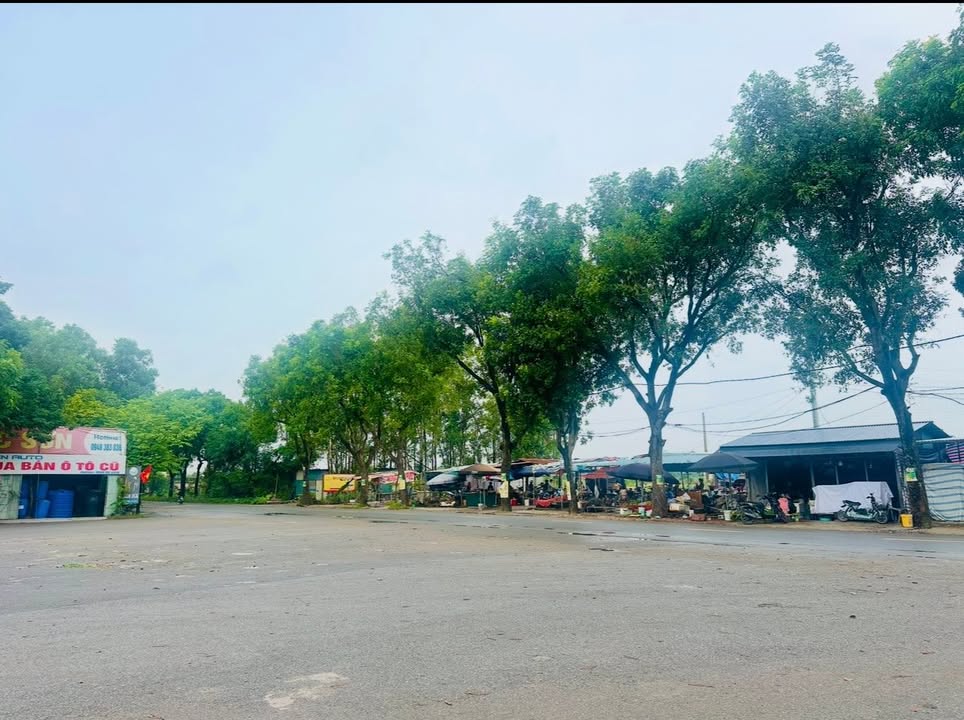 Đất nền chính chủ tại Đạc Tài, Mai Đình, Sóc Sơn 70m² - Tiềm năng sinh lời cao!