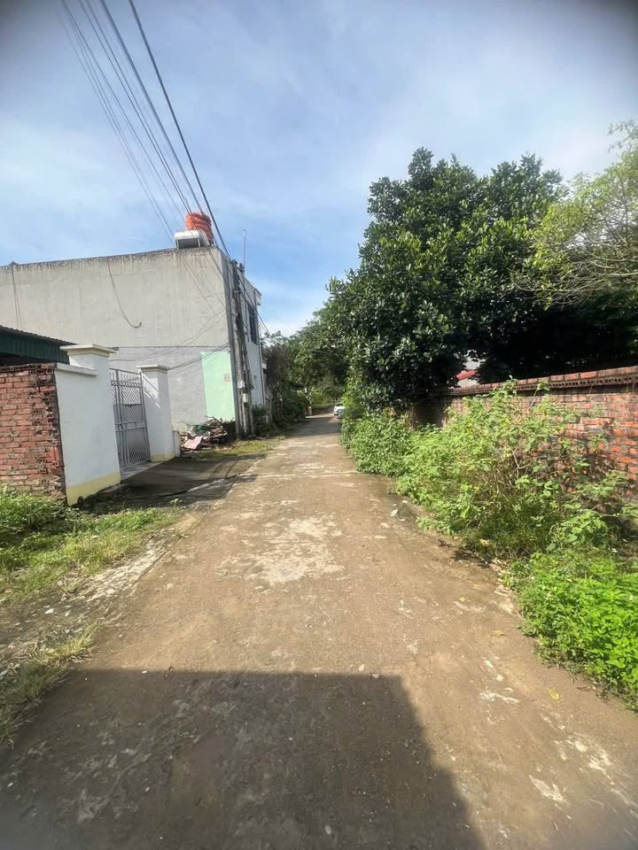 Đất thổ cư khu 8 Trưng Vương 114m² giá chỉ 3.1 tỷ - Mặt tiền rộng, đường ô tô tránh nhau!