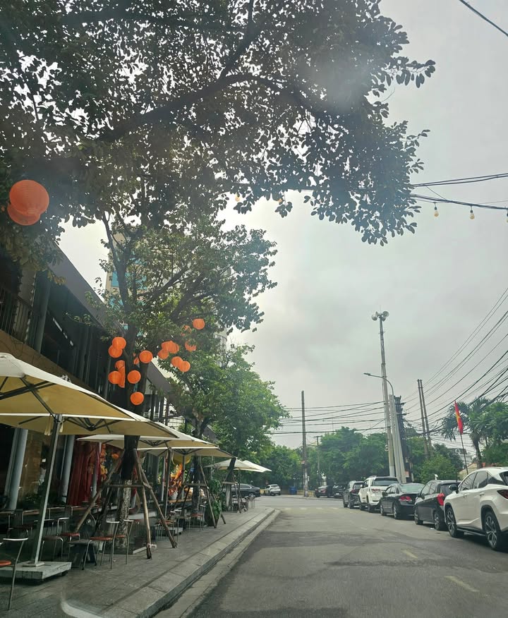 Nhà 1 tầng mặt đường Chợ Tre, Từ Sơn 86m² giá 11.8 tỷ - Kinh doanh sầm uất!