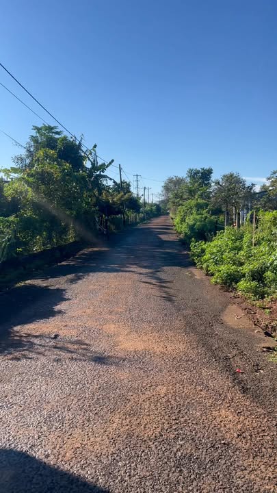 Đất nền lô góc 2 mặt tiền Nguyễn Trãi, Ia Grai 377m² - Phù hợp kinh doanh ngay!