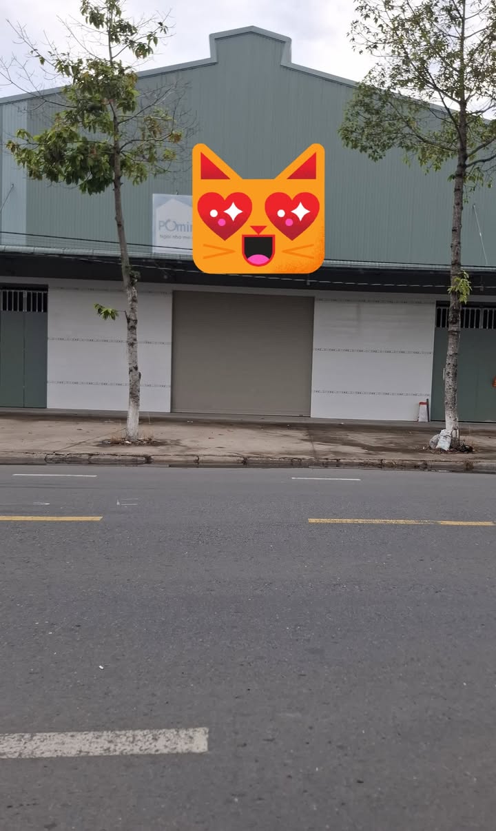 Kho cho thuê tại đường N2, Tháp Mười 1400m² - Giá tốt 70 triệu/tháng!