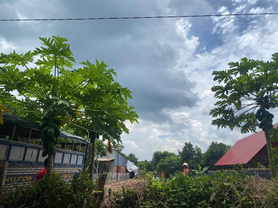 Đất vườn Bảo Quang, Long Khánh 3600m² giá 970 triệu - Đường bê tông, sổ đỏ chính chủ!