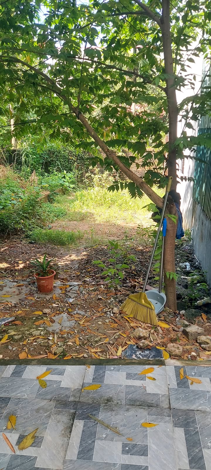 Đất nền Đại Mạch, Đông Anh 48m² giá 3 tỷ - Sổ hồng chính chủ!