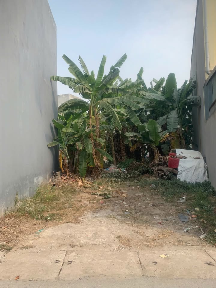 Đất nền Khai Quang Vĩnh Yên 113m² giá 2.3 tỷ - Chính chủ bán nhanh!