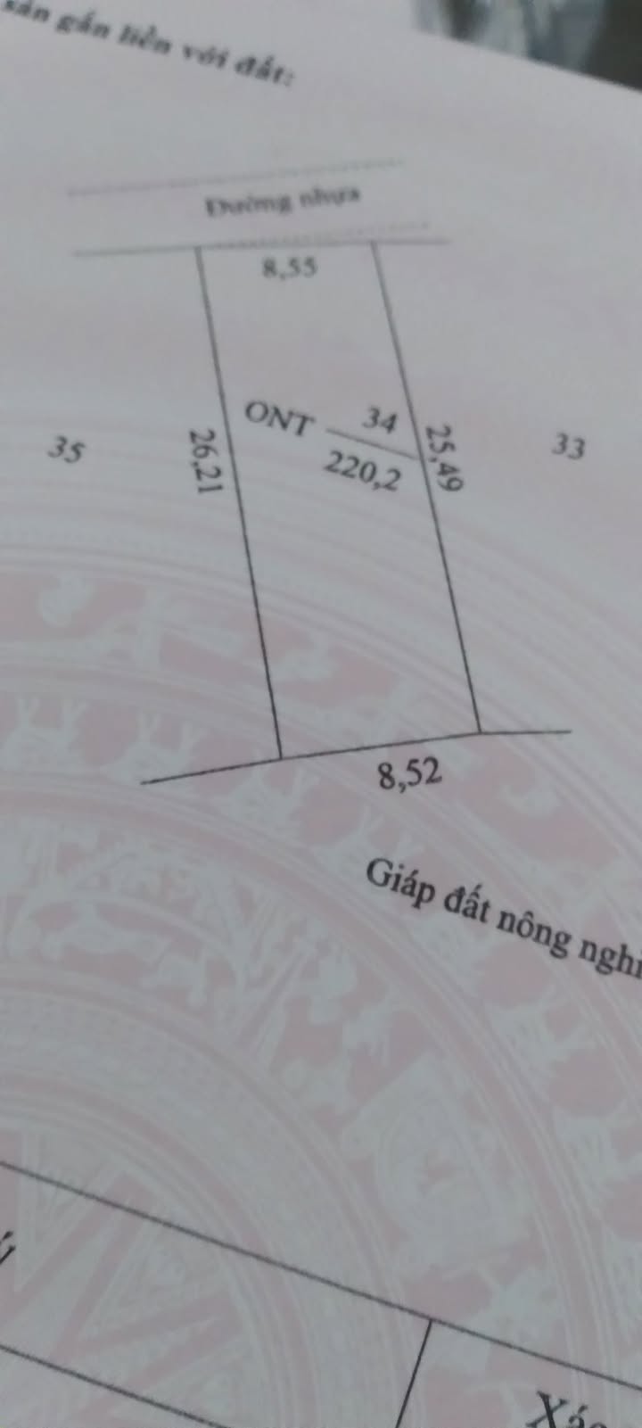 Đất thổ cư 220m² tại xã Tấn Mỹ, Chợ Mới An Giang - Giá 950 triệu, sổ đỏ chính chủ!