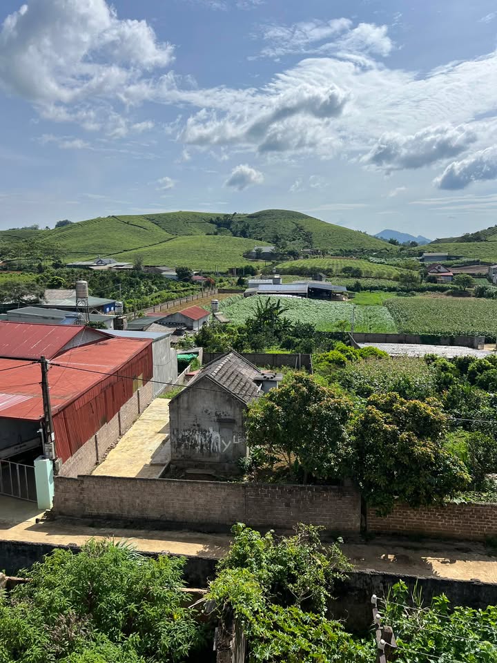 Đất thổ cư Vân Sơn, Mộc Châu 170m² giá chỉ 300 triệu - Cơ hội vàng không thể bỏ lỡ!