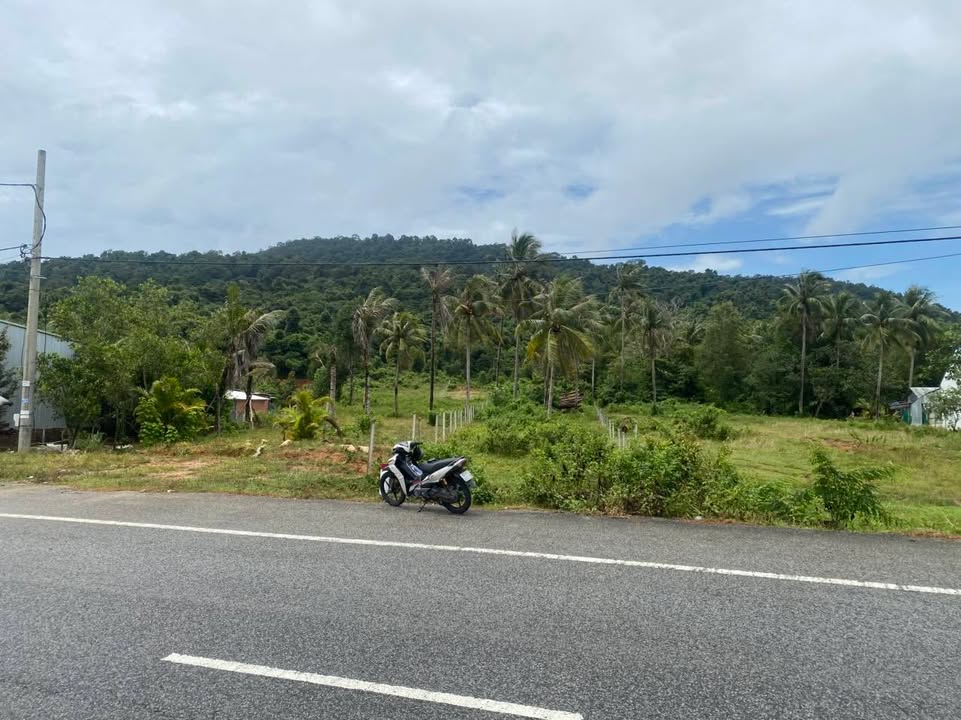 Đất nền mặt tiền Suối Cát, Cửa Dương 5000m² giá 8 tỷ - Thế đất lưng tựa núi đẹp!