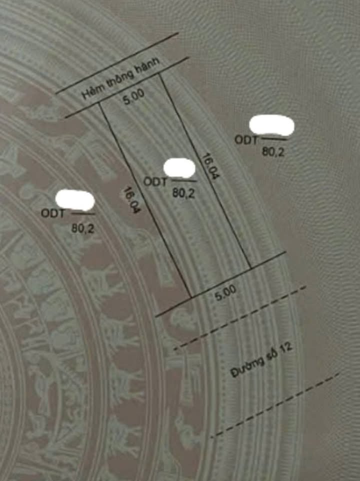 Đất nền Khu Bắc Hà Hoàng Hổ, An Giang 80m² giá 3 tỷ - Cơ hội đầu tư tuyệt vời!