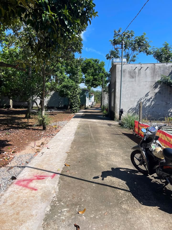 Đất nền Bàu Sen - Long Khánh 100m² giá 890 triệu - Sổ riêng sang tên ngay!