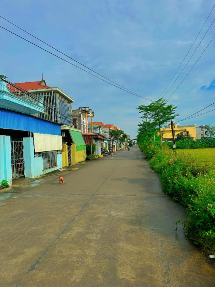 Đất nền Vũ Bản Bình Lục 132m² - Vị trí đắc địa, đầy đủ tiện ích!