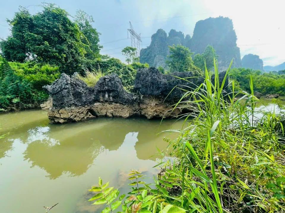 Đất Tân Lạc Hòa Bình 3740m² giá thỏa thuận - Cơ hội đầu tư tuyệt vời!