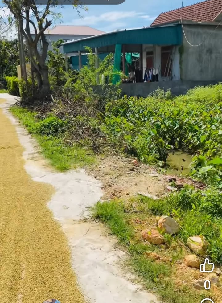 Đất thổ cư 300m² lối 3 đường 1A, xã Cẩm Thịnh, giá 1 tỷ - Pháp lý rõ ràng!