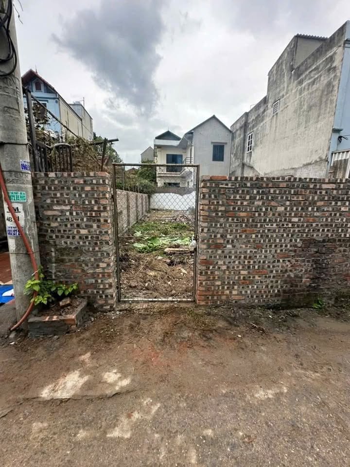 Bán đất thôn Yên Mỹ, xã Dương Quang 81m² chỉ 3 tỷ - Đường ô tô vào tận nơi!