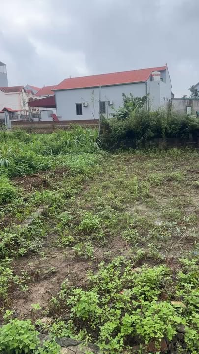 Đất thổ cư 63m² xã Phúc Lộc, Phúc Thọ Hà Nội - Sổ đỏ chính chủ chỉ 1 tỷ