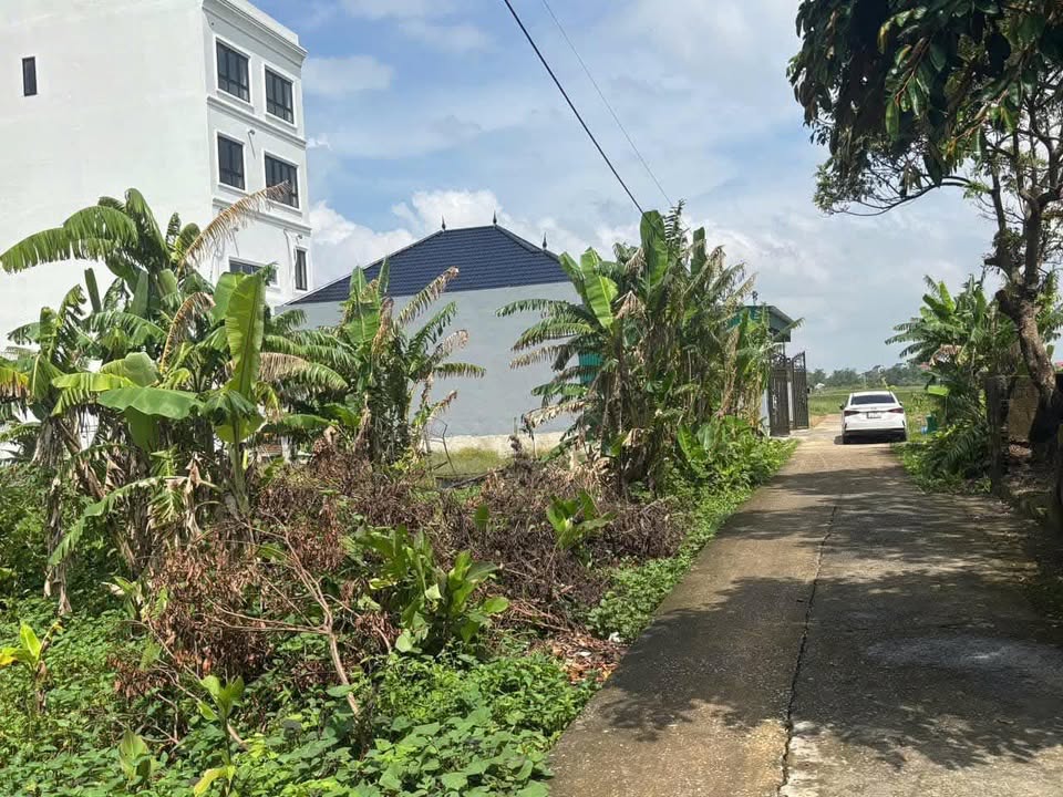 Đất nền khu phố Khoan Hồng, xã Mỹ Lộc 156m² giá chỉ 800 triệu - Cơ hội đầu tư hấp dẫn!