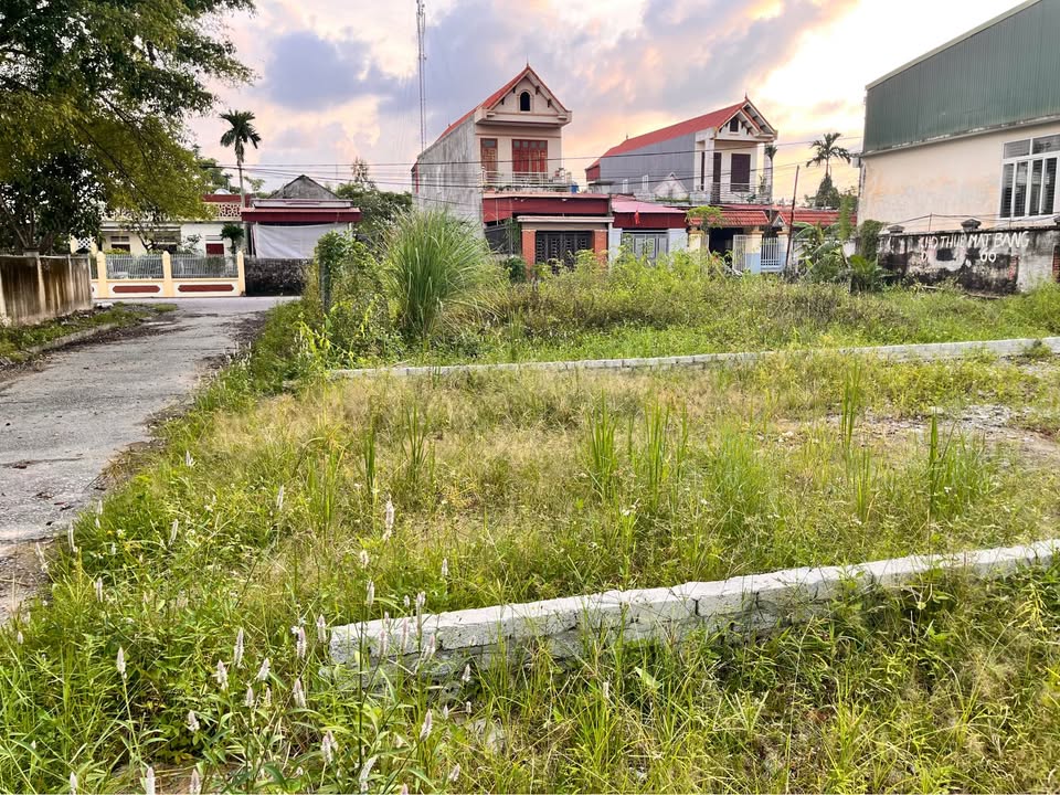 Đất Full thổ cư tại Tĩnh Gia, Nghi Sơn, Thanh Hoá 117m² - Chính chủ cần bán gấp!