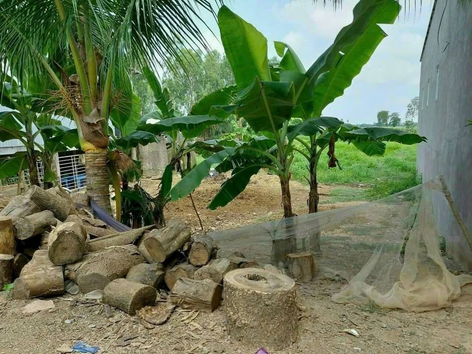 Đất nền Bình Hòa, Châu Thành 5167m² giá 2 tỷ - Cơ hội đầu tư hấp dẫn!