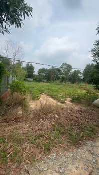 Đất nền Phước Hưng, Long Điền 533m² giá 1 tỷ - Cơ hội đầu tư tốt!