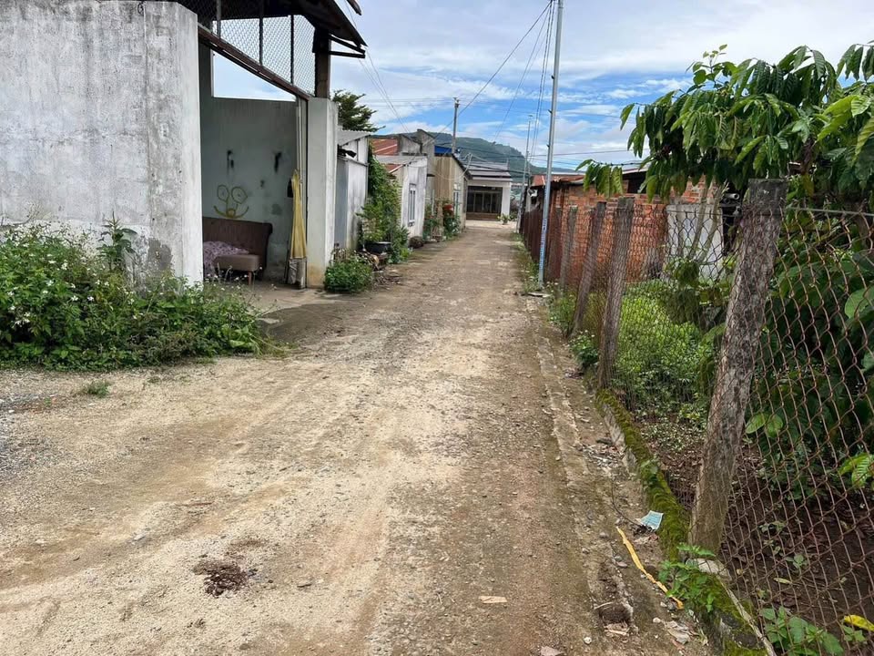 Đất thổ cư 100m² hẻm Thống Nhất, Phú Hội, Đức Trọng - Giá chỉ 1,6 tỷ!