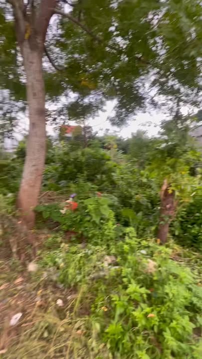 Đất nền khu phố Châu Hiệp, Nam Phước, 365m² giá 2.5 tỷ - Đầu tư lý tưởng!