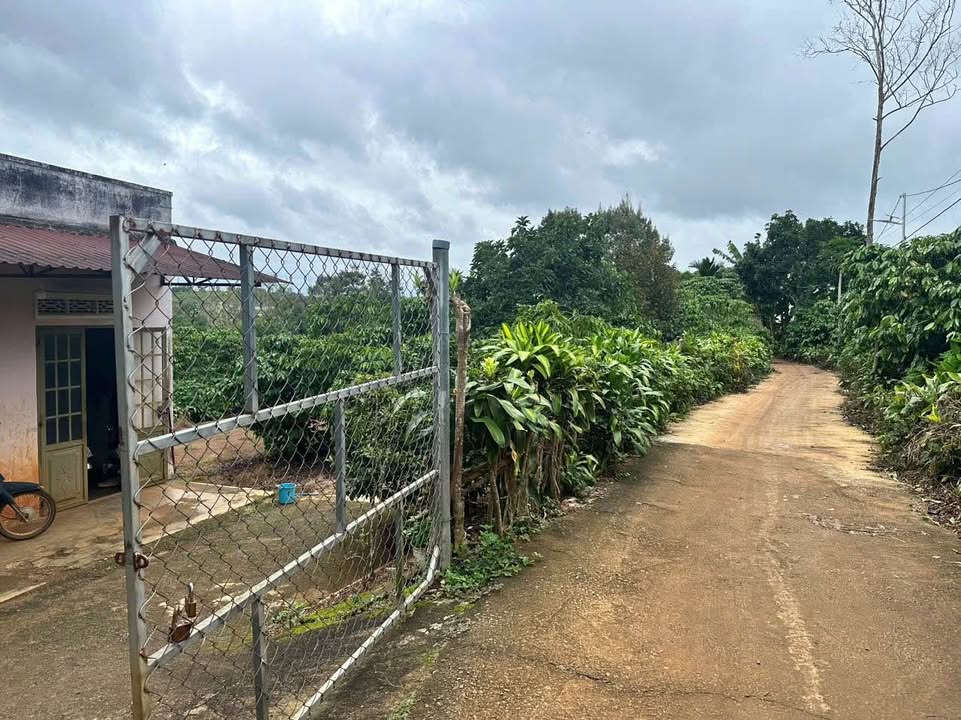 Đất thổ cư Lộc An, Bảo Lâm 3340m² giá 3 tỷ - Mặt tiền đường bê tông