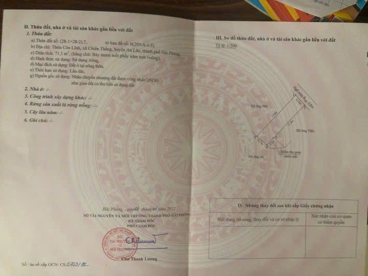 Đất nền Chiến Thắng, An Dương 71m² giá 800 triệu - Đường thông ô tô vào tận nơi!