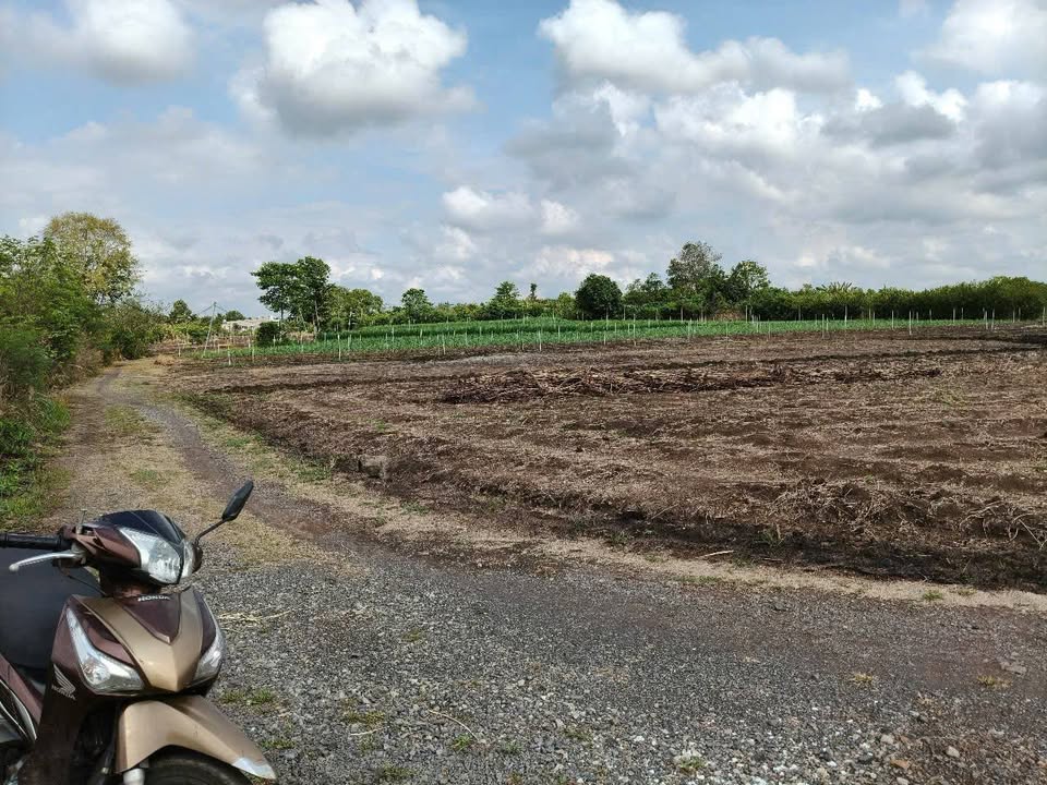 Đất nền Xuân Bảo, Cẩm Mỹ 1160m² giá 680 triệu - Cơ hội đầu tư tuyệt vời!