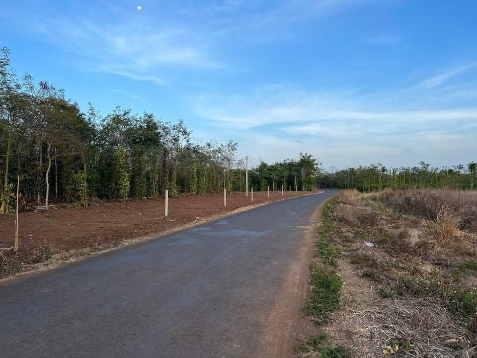 Đất nền Hòa Xuân Buôn Ma Thuột 19440m² giá 1.55 tỷ - Đầu tư sinh lời ngay!