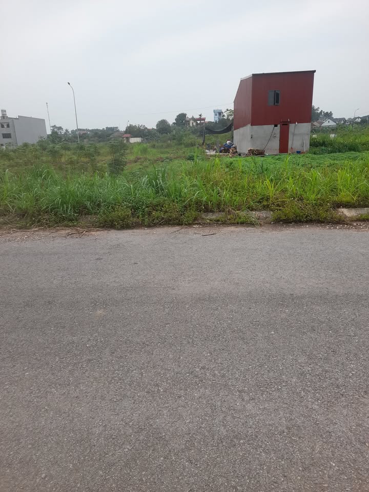 Đất nền Mải Hạ, Mỹ Thái, Lạng Giang 100m² giá 1.3 tỷ - Cơ hội đầu tư sinh lời!